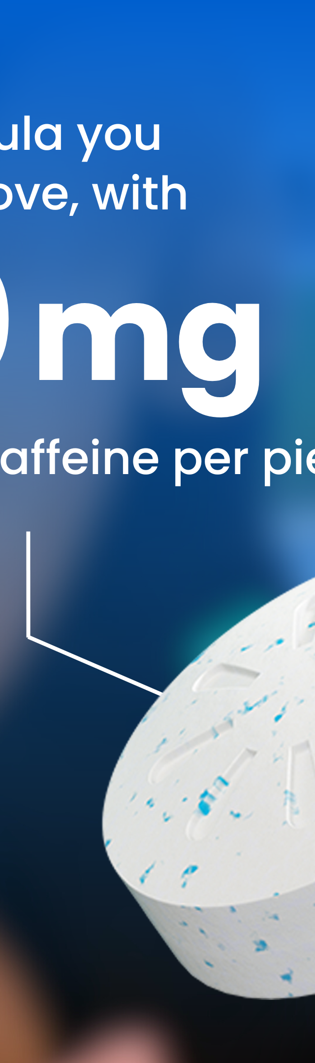 Peppermint / 6 pack (54 pc)