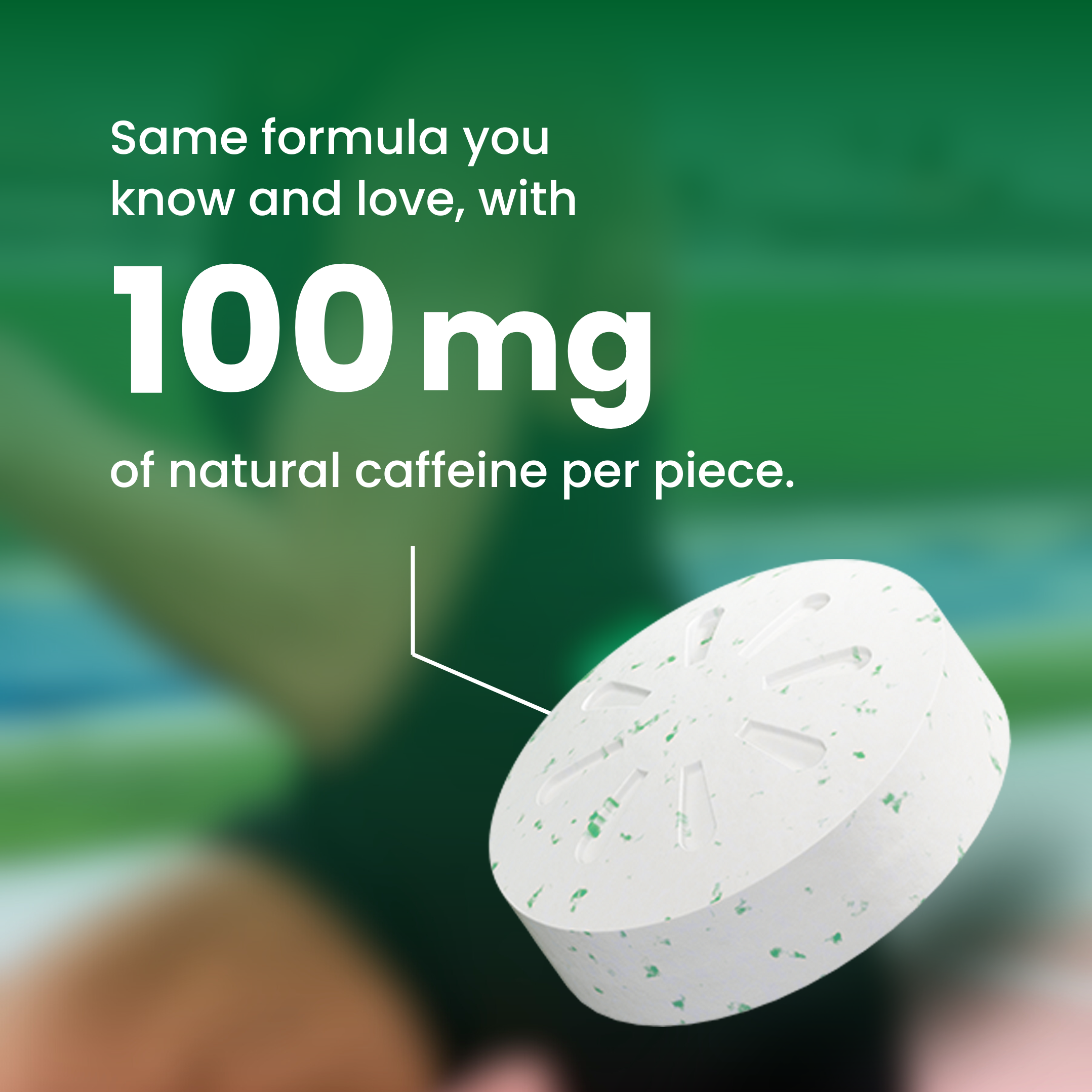 Spearmint / 12 pack (108 pc)