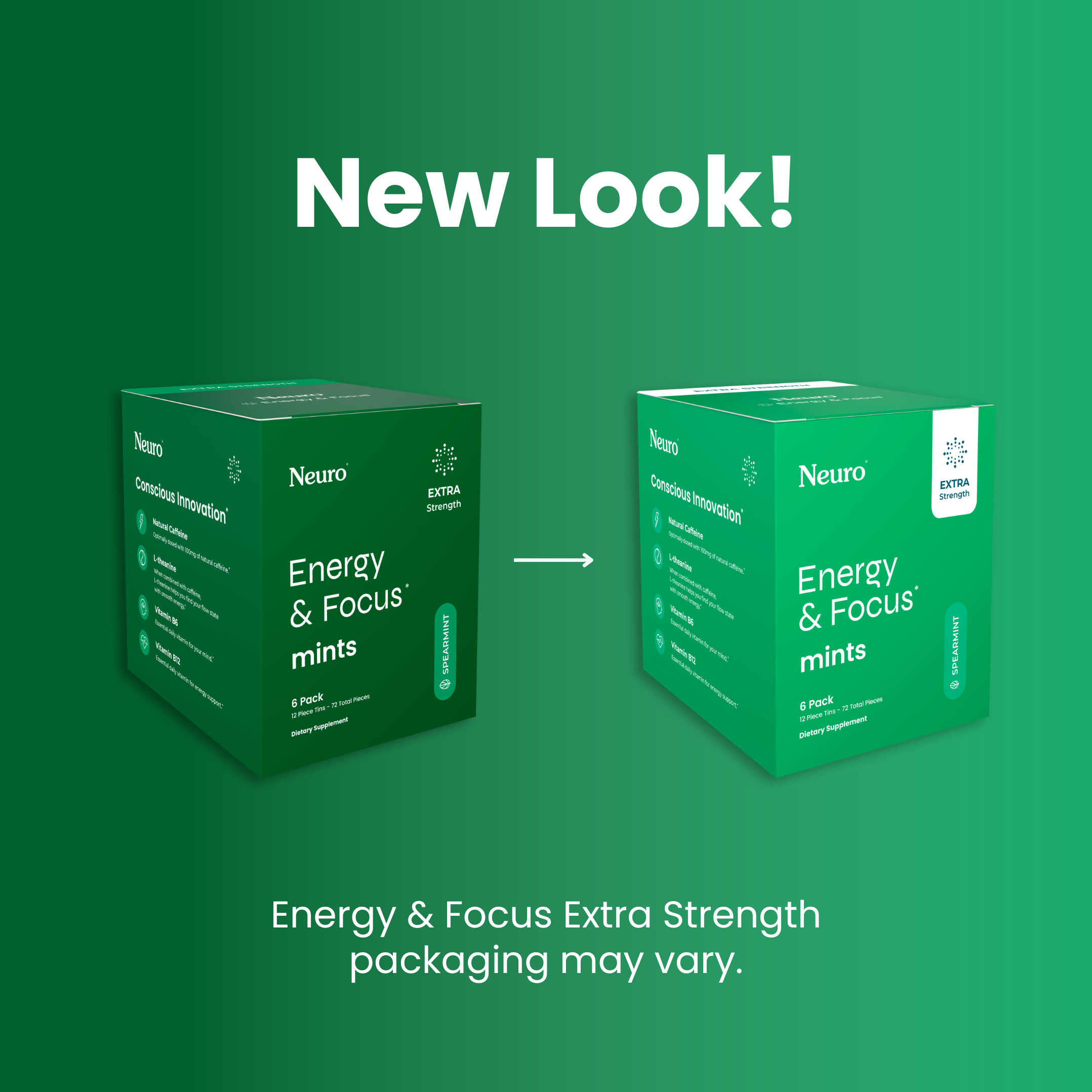 Spearmint / 12 pack (108 pc)